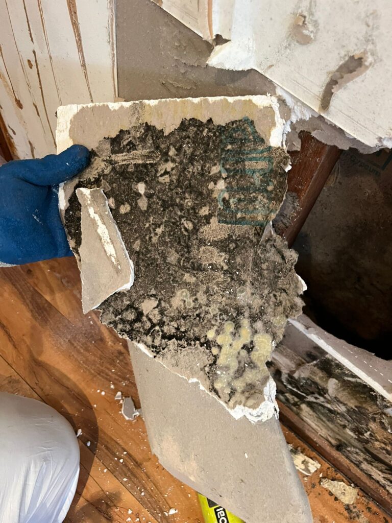 Water Damage Restoration Geelong