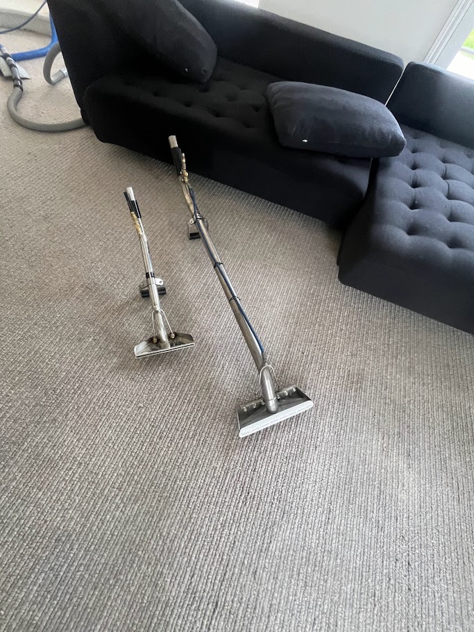 Carpet Cleaner Geelong