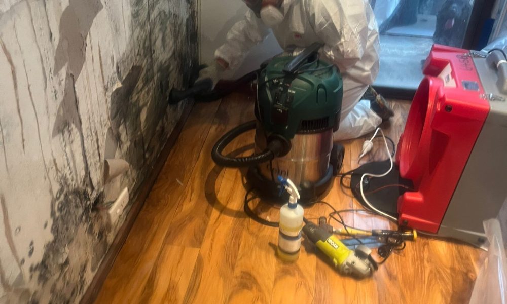 WhatsApp-Image-2022-08-12-at-7.11.53-PM